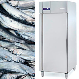 Catálogo Armarios refrigerados para pescado - Pepebar